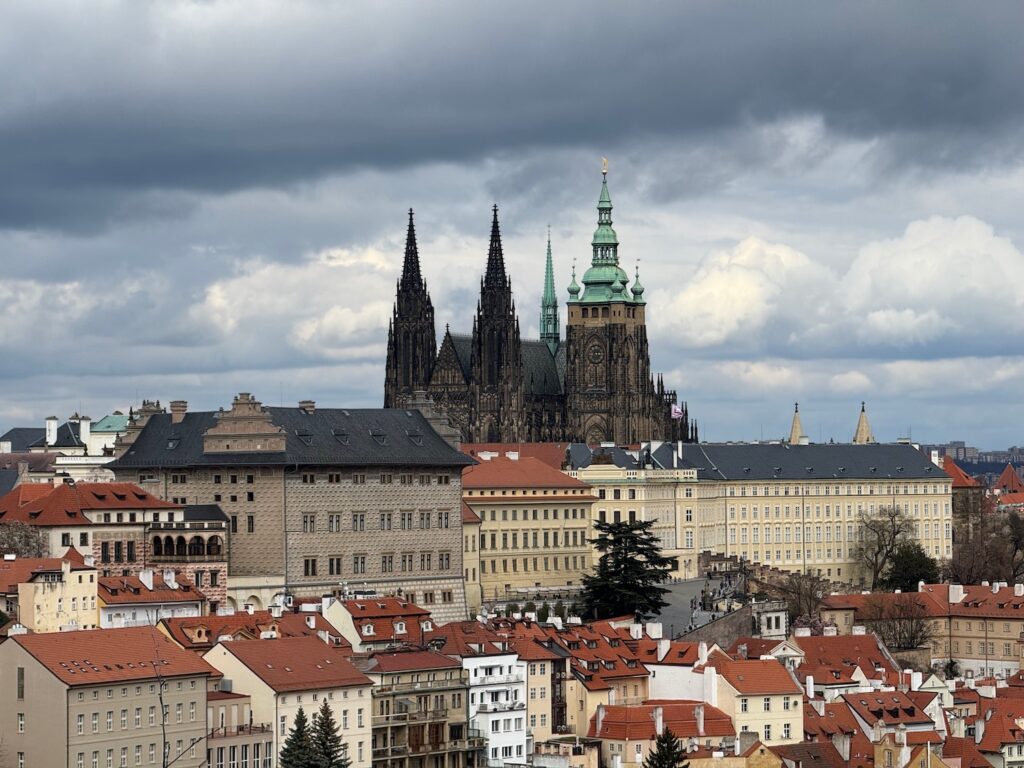 a city with many buildings and a castle