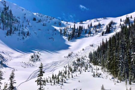 Fresh Tracks in Valhalla Provincial Park.