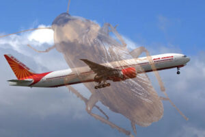 a large bug flying in the sky
