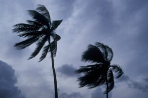 Hawaii storm update: What to do if you have a trip planned to the islands Melissa Klurman