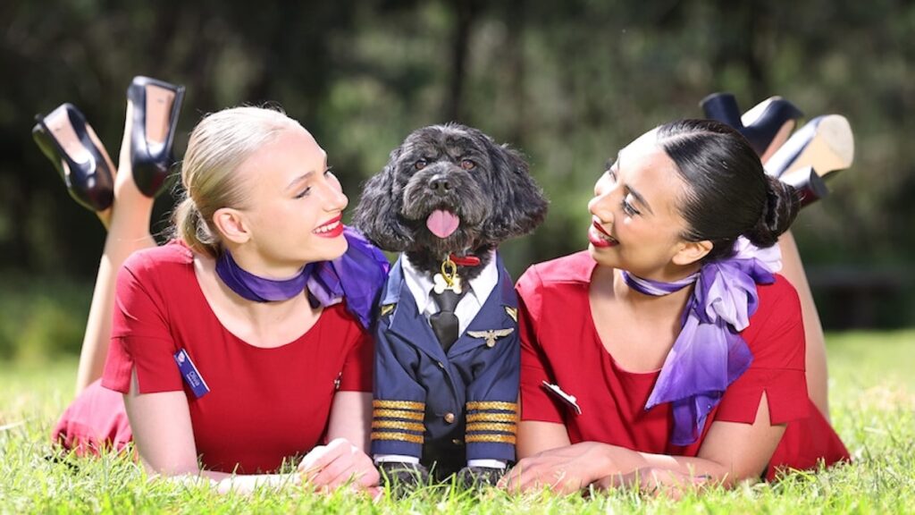 Virgin Australia Will Allow Cats And Dogs To Fly In Cabin By Christmas 2025 a group of women lying on grass with a dog