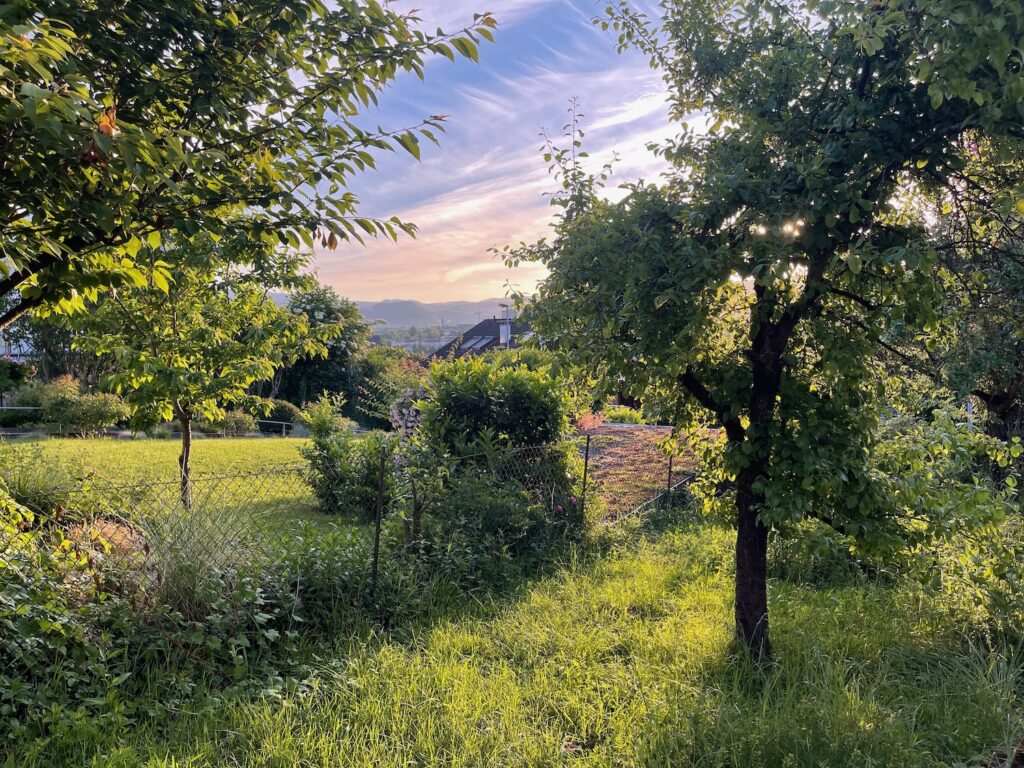 a grass field with trees and a building in the background