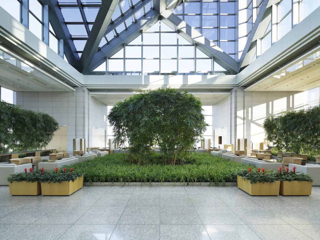 Iconic Park Hyatt Tokyo Reopening December 2025, After Renovation