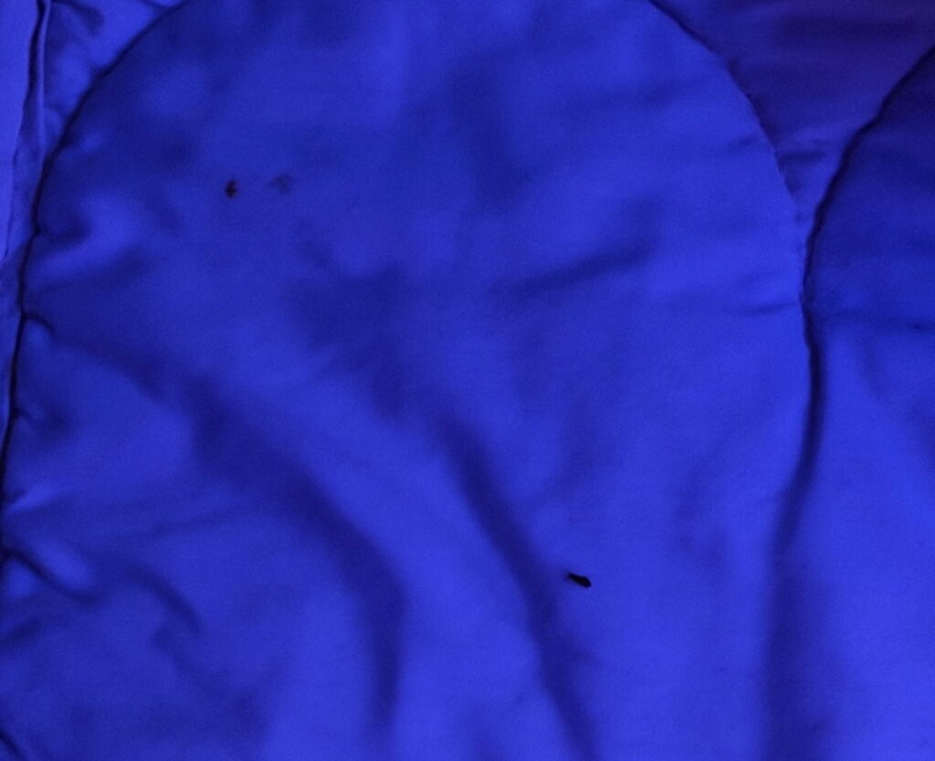 Air India Offers First Class Passenger $116 For Bed Bugs, Light Falling On Head Air India Offers First Class Passenger $116 For Bed Bugs, Light Falling On Head