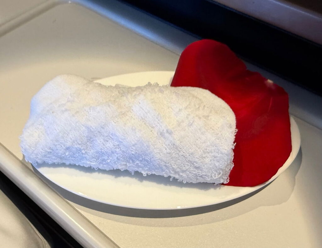 Airplane Hot Towels: I Don’t Understand The Ways People Use Them? Airplane Hot Towels: I Don’t Understand The Ways People Use Them?