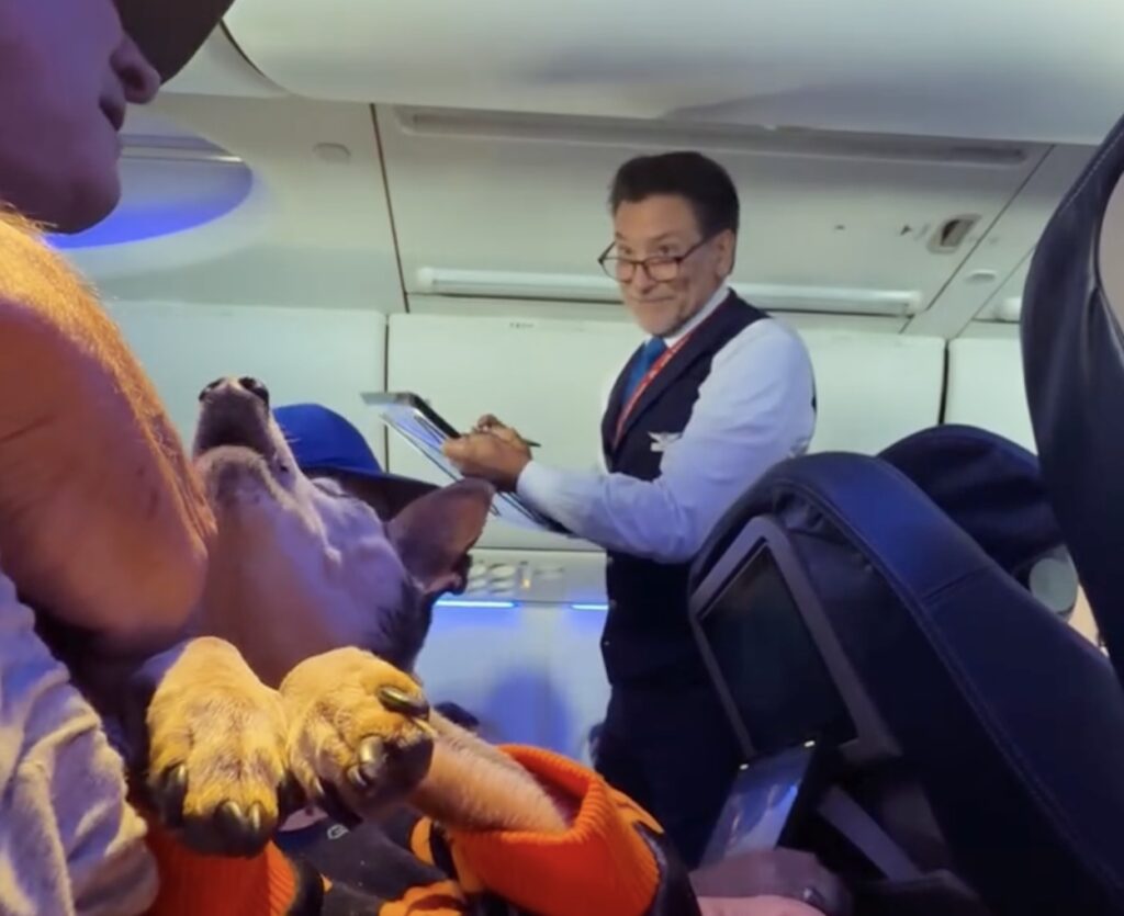 First Class Entitlement: Man Refuses To Keep His 19-Year-Old Dog In Carrier On United Airlines a man standing next to a dog