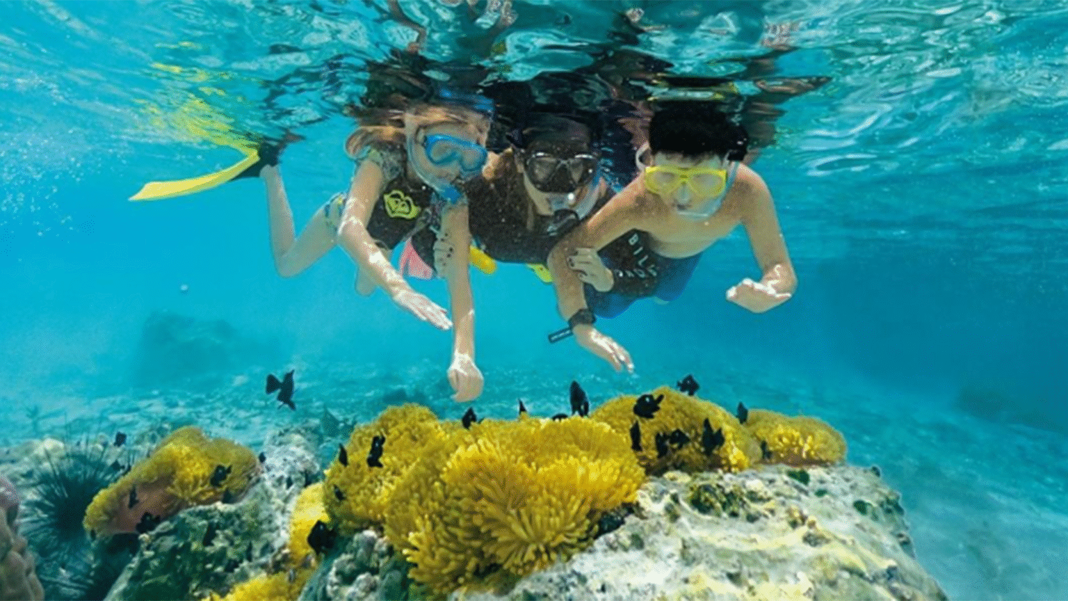 Paul Gauguin Cruises Announces 2027 Family Program Voyages