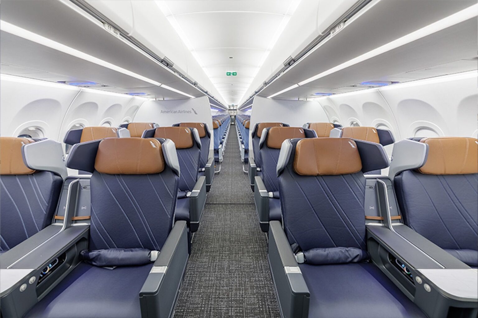 Finally! American's posh new plane set to debut just in time for the holidays Sean Cudahy
