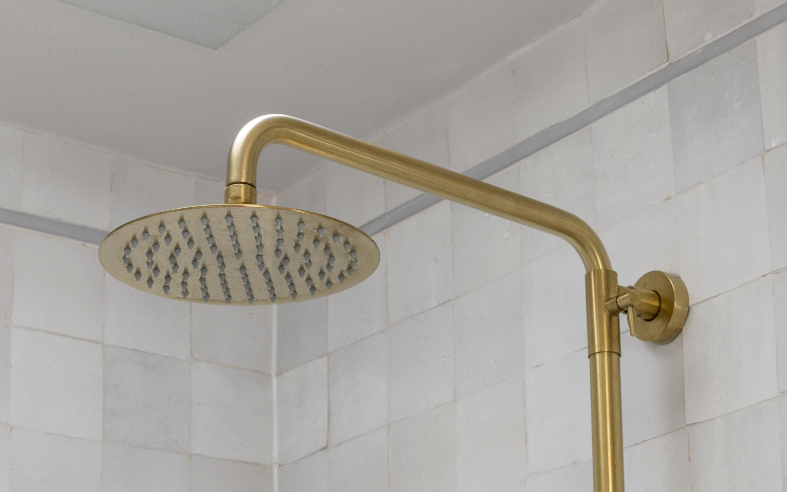 ABI Interiors brass shower head