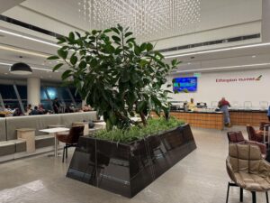 a plant in a rectangular pot in a room with people sitting around