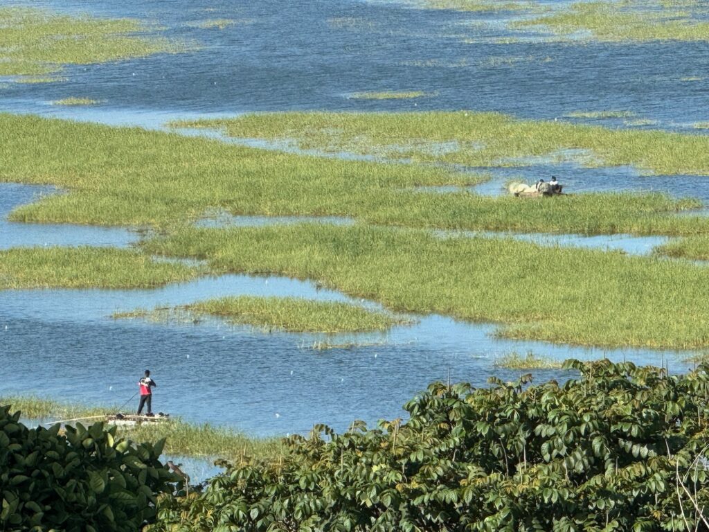a man standing on a boat in a swamp