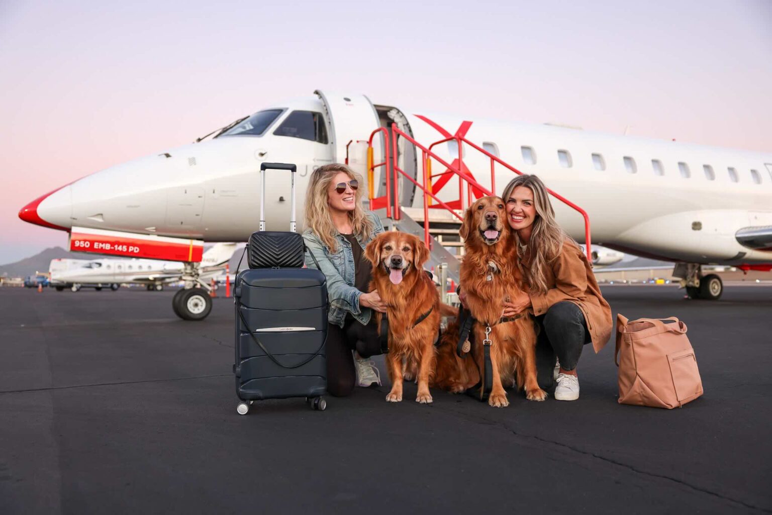 a group of women with dogs and luggage in front of an airplane