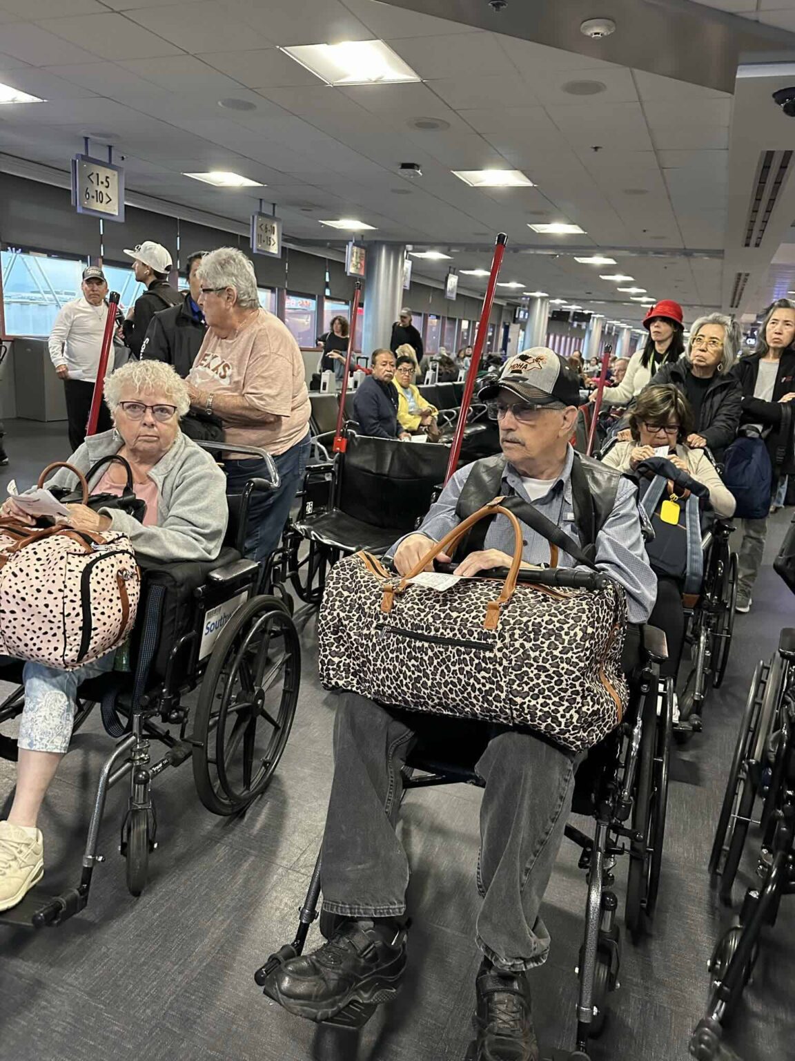 a group of people in wheelchairs