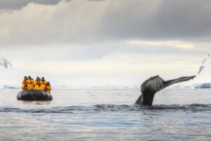 Antarctica reading list: The 8 best books to read before a trip