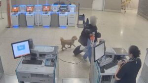 a person walking a dog in a store