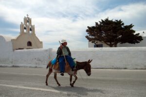 Santorini Targets Overweight Tourists With Donkey Weight Limit a man riding a donkey
