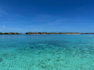 The 7 Credit Cards I Use The Most For My Spending, And Why