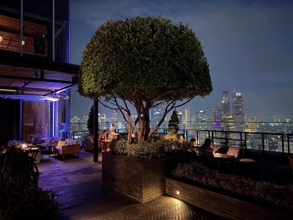 Review: Park Hyatt Jakarta (Luxury Hotel With Outstanding Value) a tree on a rooftop with a city view in the background