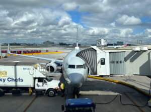 “Rookie Traveler” Baselessly Blasts American Airlines: “I’d Rather Walk”