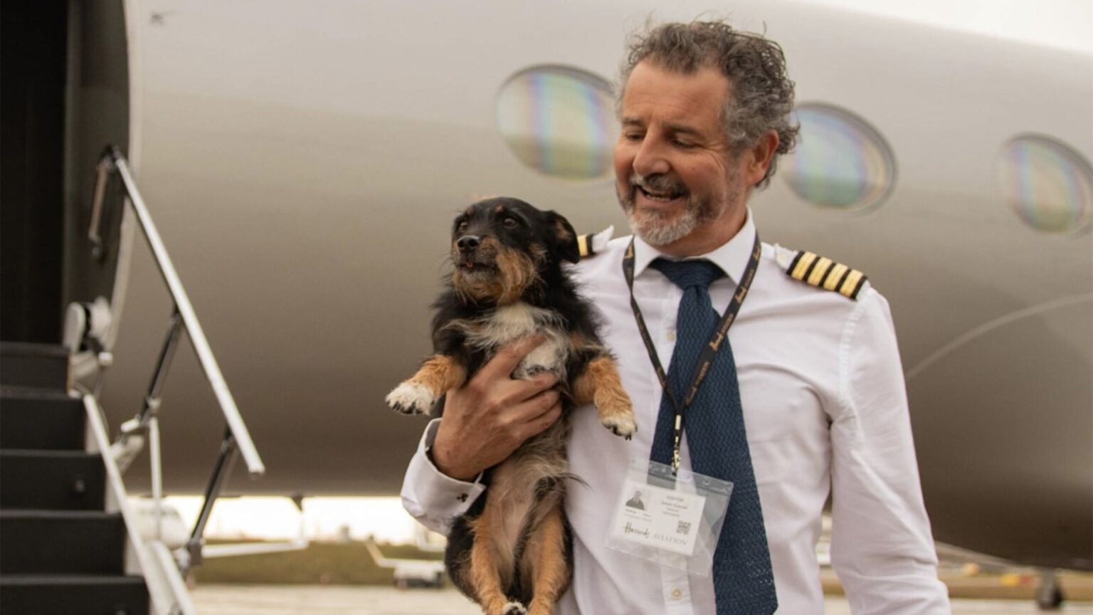 Vicuna Air Expands U.S. In-Cabin Pet Travel Network