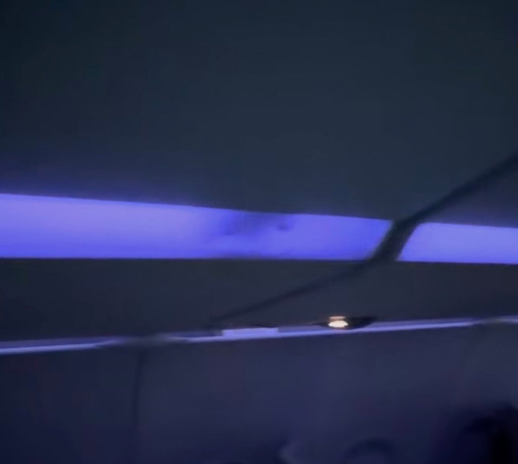 Eek: Rat Hitches Ride In JetBlue Mint, Puts On Show In Overhead Lighting Eek: Rat Hitches Ride In JetBlue Mint, Puts On Show In Overhead Lighting