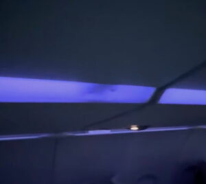 Eek: Rat Hitches Ride In JetBlue Mint, Puts On Show In Overhead Lighting Eek: Rat Hitches Ride In JetBlue Mint, Puts On Show In Overhead Lighting