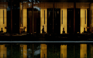 The PuLi Group announces strategic leadership appointments The PuLi silhouette image