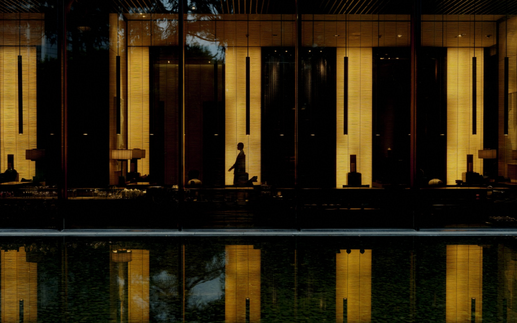 The PuLi Group announces strategic leadership appointments The PuLi silhouette image