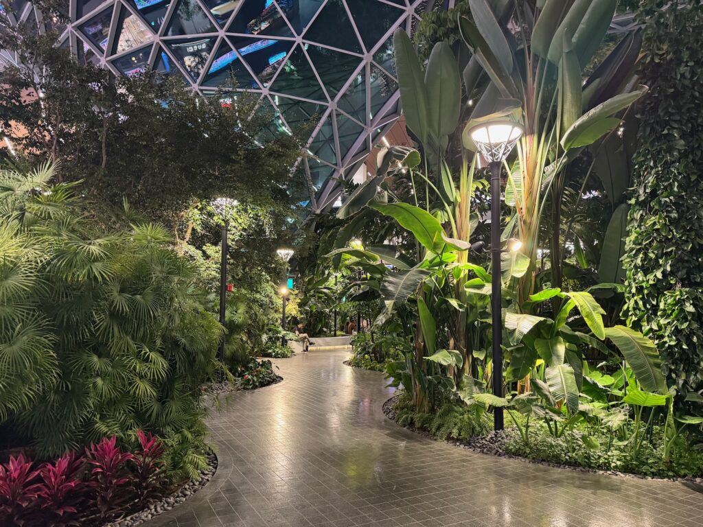How 8 Hours Flew By At Doha Hamad International Airport