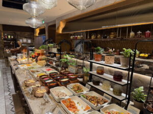 Review: Air India Maharaja Business Lounge Delhi Airport (DEL)