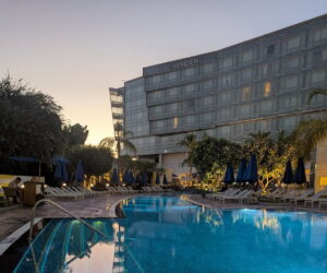 Six Continents Challenge, Part 2: North America & Africa The pool at Le Méridien Cairo Airport hotel, surrounded by palm trees and sun loungers