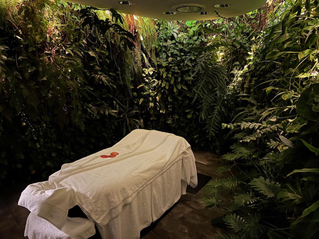 Which Airport Lounges Offer Complimentary Spa Treatments?