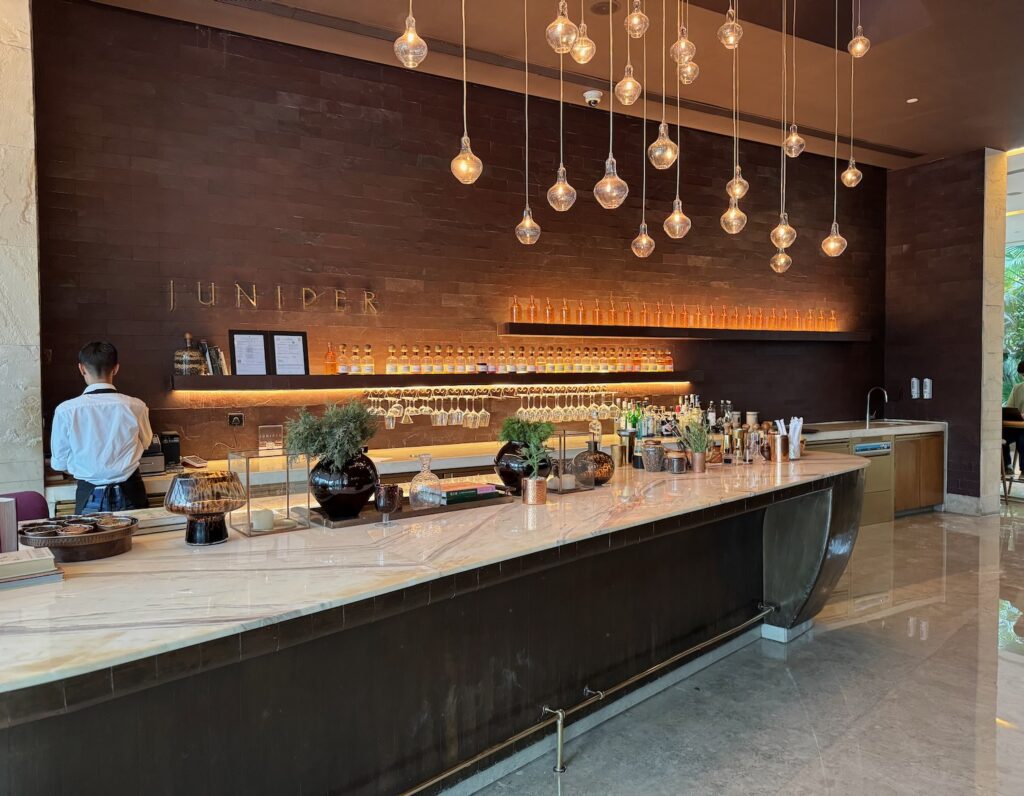 Review: Andaz Delhi (A Stylish Airport Hotel In Aerocity)