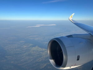 Ethiopian Airlines 737 Diverts After Indonesian Pilot Breaches Israel’s New Crew Rules Ethiopian Airlines 737 Diverts After Indonesian Pilot Breaches Israel’s New Crew Rules